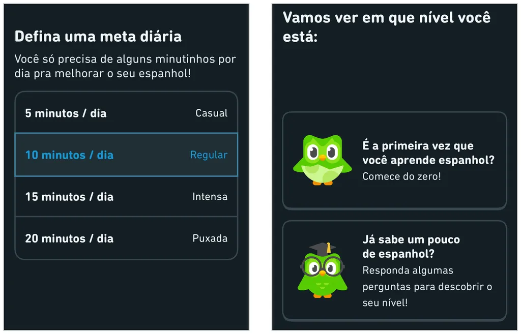 Como usar o Duolingo: informe sua meta diária e nível de conhecimento do idioma (Captura de tela: Caio Carvalho)