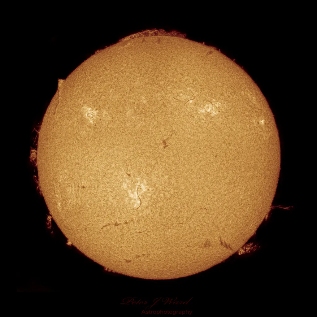 Sol fotografado durante o periélio (Imagem: Reprodução/Peter Ward (Barden Ridge Observatory)