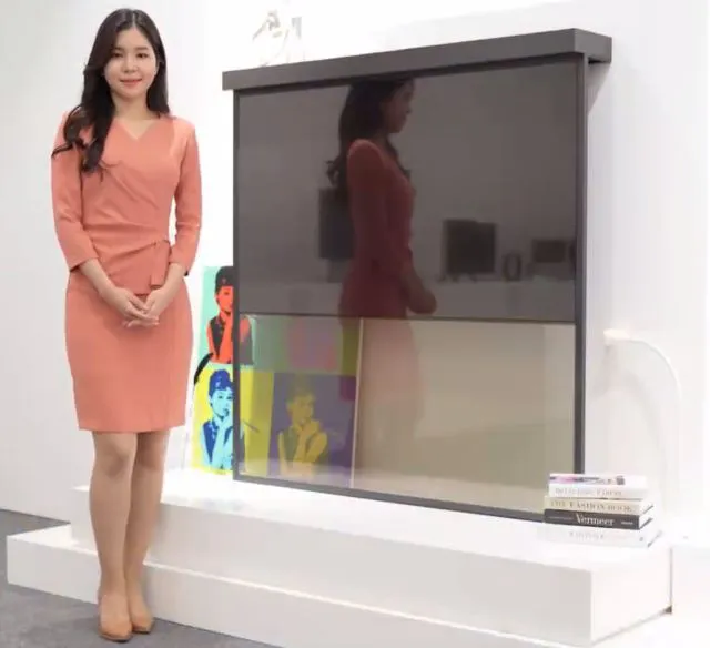 OLED Shelf é uma opção doméstica de tela transparente (Imagem: Divulgação/LG Display)