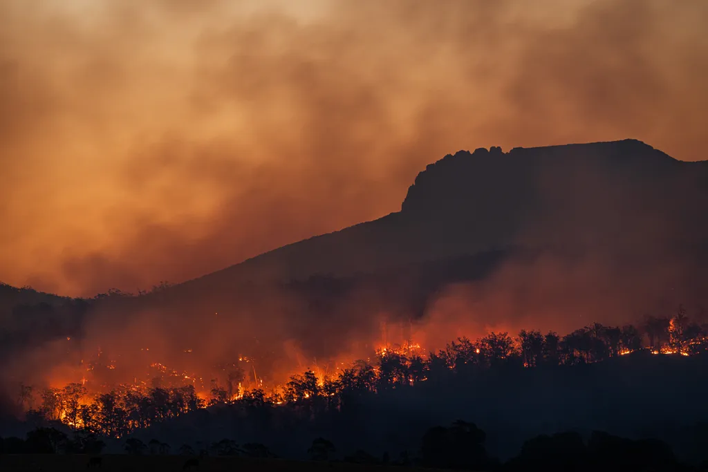 Incêndios florestais na Califórnia prejudicaram a produção de vinho no Vale de Napa (Imagem: Matt Palmer/Unsplash)