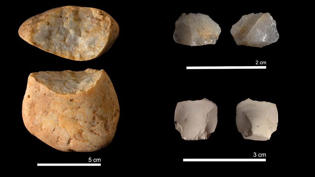 Algumas ferramentas de pedra encontradas em Sima del Elefante, mostrando que os humanos do local manipulavam carnes e couro (Imagem: Nature/Maria D. Guillén/IPHES-CERCA)